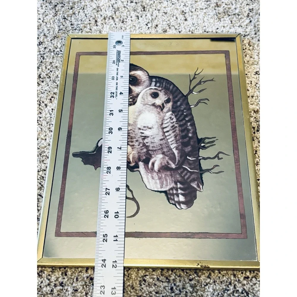 Vintage Snowy Owl‎ Wall Mirror Brytone 2D Etched Glass Art Retro MCM
